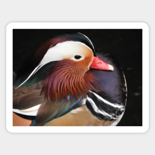 Mandarin Duck Sticker